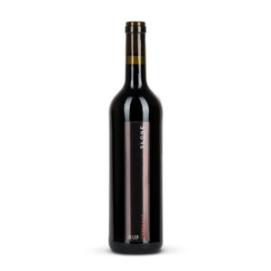 CABERNET Cortis 2023 - wino czerwone, wytrawne 0,75l, alk. 11,5%